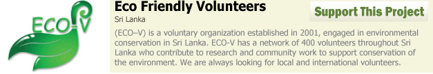 Eco-Friendly Volunteers