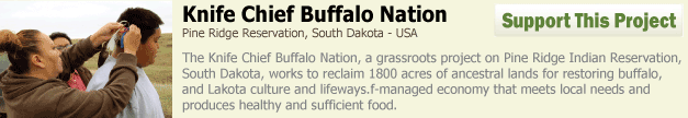 Knife Chief Buffalo Nation