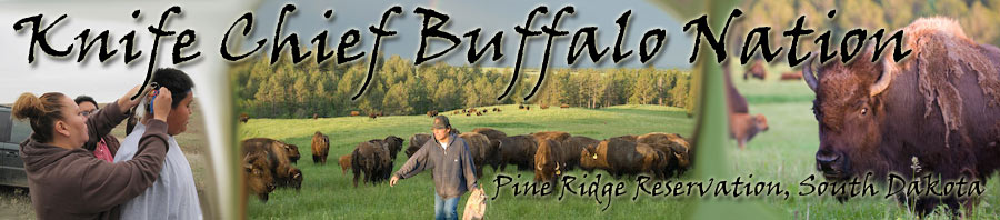 Knife Chief Buffalo Nation