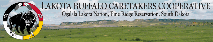 Lakota Buffalo Caretakers Cooperative