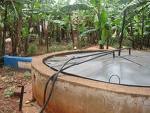 biogas
