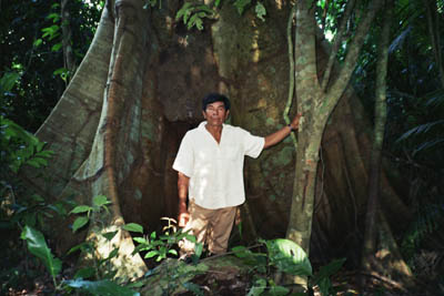 forestry