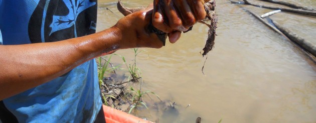 2011 July Oil Spill
