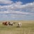 OLYMPUS DIGITAL CAMERA OLYMPUS DIGITAL CAMERA